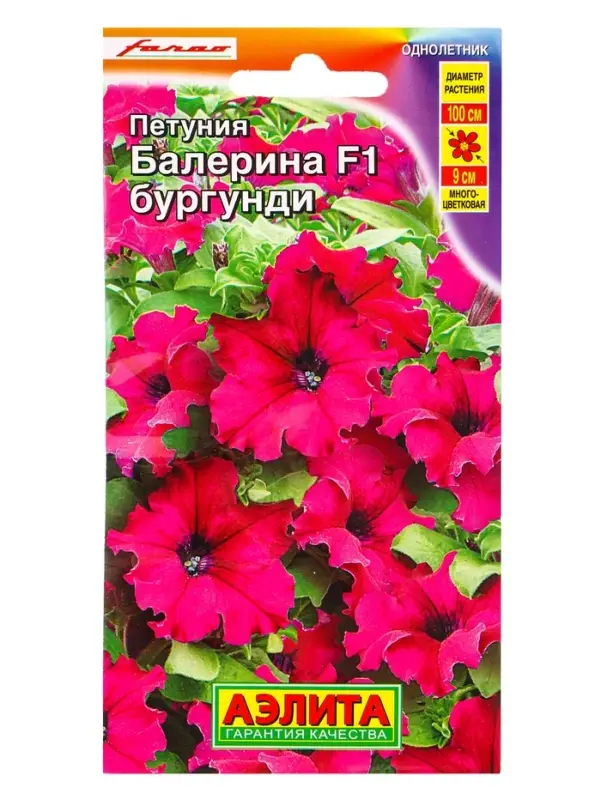 Семена цветов Петуния Балерина бургунди крупноцветковая F1 (драже) С. Farao, Ц/П,7 шт. Семена цветов Петуния Балерина бургунди крупноцветковая F1 (драже) С. Farao, Ц/П,7 шт.