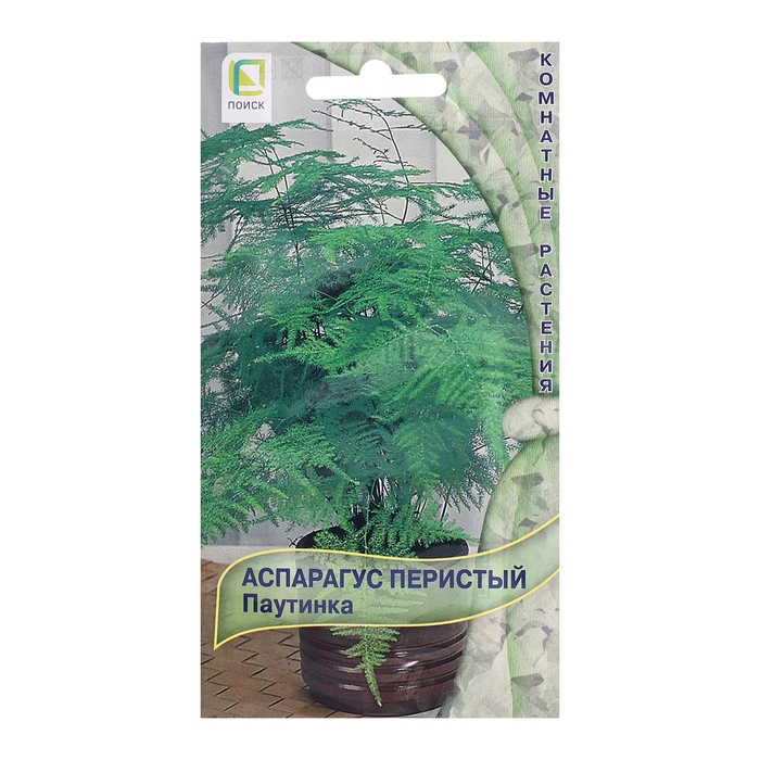 Семена цветов Аспарагус перистый  Семена цветов Аспарагус перистый "Паутинка",5шт.
