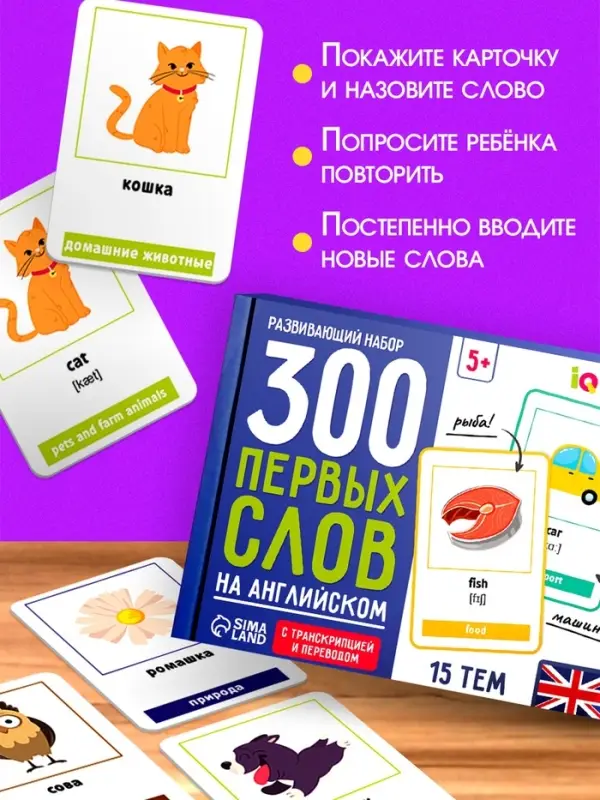 Развивающий набор &laquo;300 первых слов на английском&raquo;, 300 карт, 5+