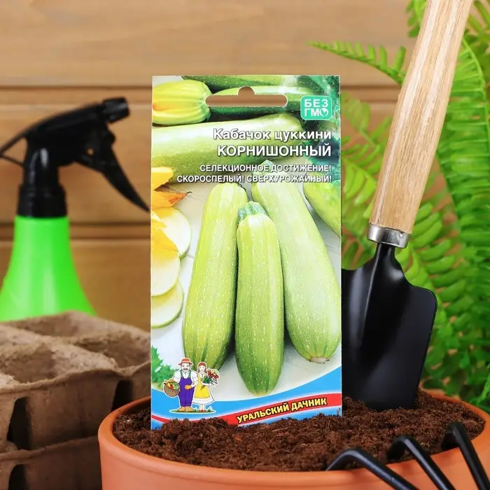 Семена Кабачок  Семена Кабачок "Корнишонный", 6 шт.