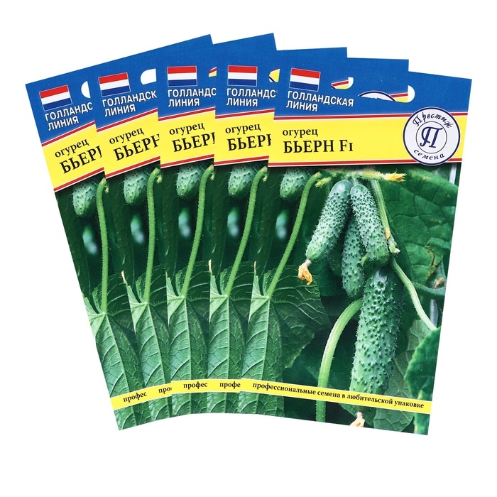 Семена огурца Семена огурца "Бьерн", F1,набор 5 шт