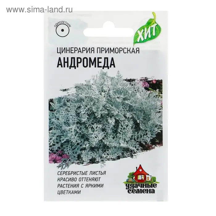Семена цветов Цинерария приморская &laquo;Андромеда&raquo;, 0.05 г, серия ХИТ х3