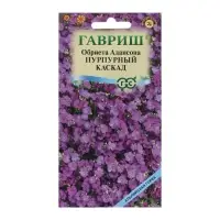 Семена цветов Обриета "Пурпурный каскад", ц/п,  0,05 г Семена цветов Обриета "Пурпурный каскад", ц/п,  0,05 г