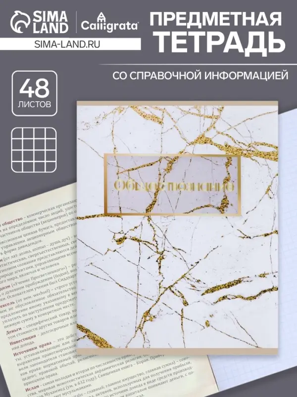 Тетрадь предметная, 48 листов в клетку, Calligrata, &laquo;Мрамор светлый. Обществознание&raquo;