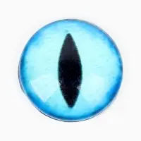 Глаза, набор 14 шт, размер 1 шт - 1,6 см