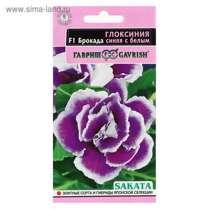 Семена цветов Глоксиния  Семена цветов Глоксиния "Брокада синяя с белым", F1, 4 шт.