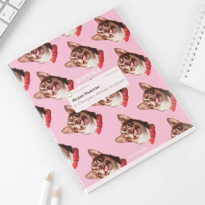 Тетрадь в клетку, предметная, 48 л.,на скрепке, А5 &laquo;УВЕДОМЛЕНИЯ. Физика&raquo;