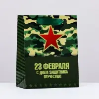 Пакет подарочный ламинированный вертикальный &laquo;23 февраля&raquo;, 18&times;23&times;10 см