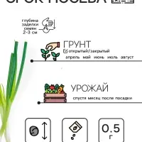 Семена Лук-батун &laquo;Русский зимний&raquo;, 0.5 г, многолетник, &laquo;Рецепты дедушки Никиты&raquo;