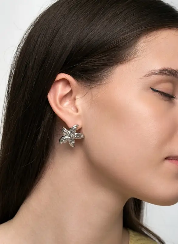 Серьги металл &laquo;Морская звезда&raquo;, цвет серебро