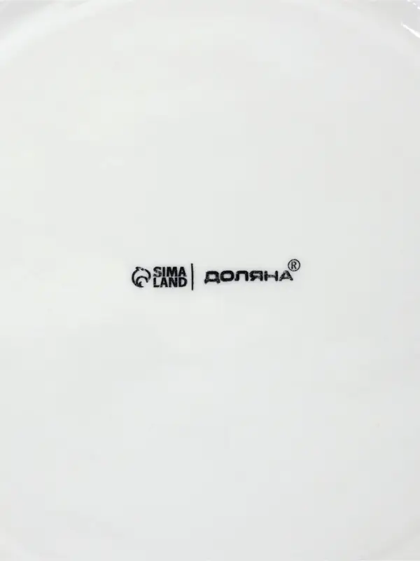 Тарелки обеденные Доляна White Label, набор 4 шт., d=25 см, утолщенный край, фарфор, белые