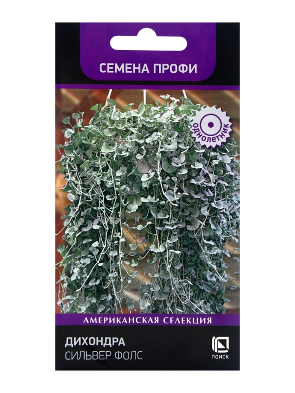 Семена цветов Дихондра Сильвер Фолс, 5шт Семена цветов Дихондра Сильвер Фолс, 5шт