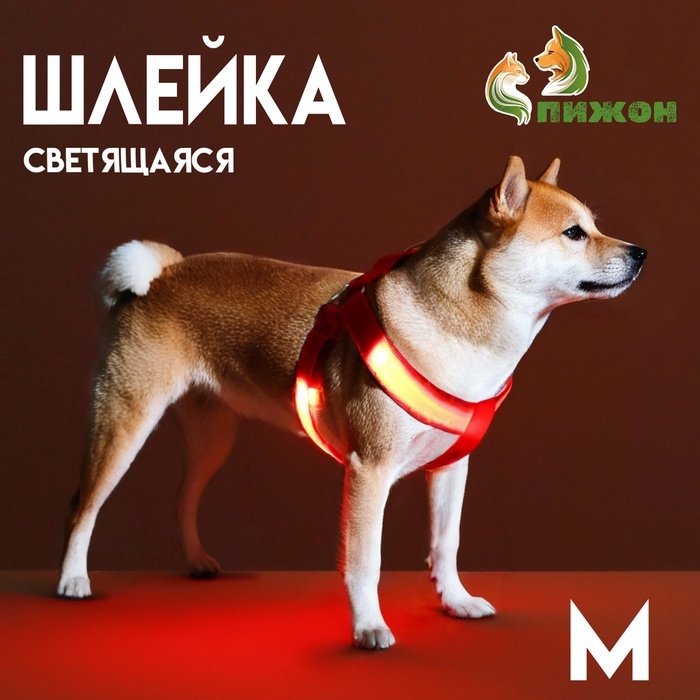Шлейка светящаяся размер M, стропа 2,5 см, ОГ 38-50 см, 3 режима свечения красная Шлейка светящаяся размер M, стропа 2,5 см, ОГ 38-50 см, 3 режима свечения красная