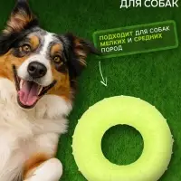 Жевательная игрушка для собак &laquo;Пончик&raquo;, 7 см, жёлтая