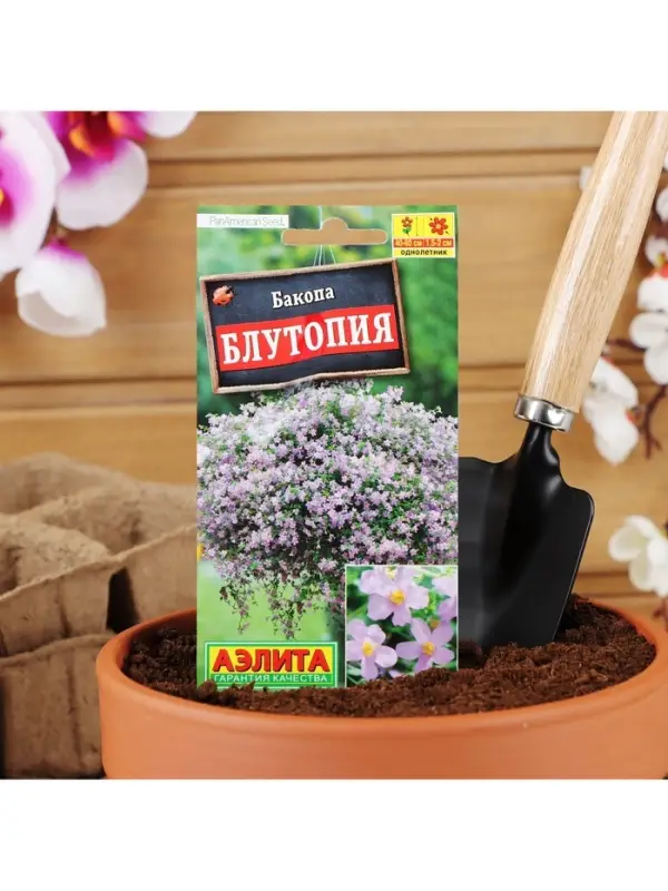 Набор семян Бакопа Блутопия, 2 шт. Набор семян Бакопа Блутопия, 2 шт.