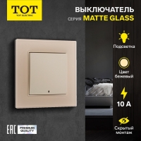 Выключатель TOT Matte Glass, 10 А, 1 кл., с подсветкой, скрытый, стекло, бежевый