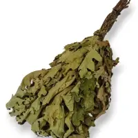 Веник для бани, дубовый, в пакете