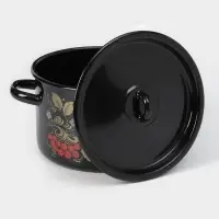 Кастрюля эмалированная, 2.9 л, d=20 см, с крышкой, деколь МИКС, ручка МИКС