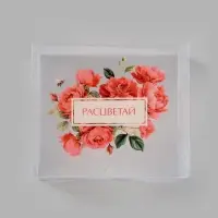 Коробка подарочная пластиковая с тишью и гирляндой &laquo;Расцветай&raquo;, 20&times;18&times;5 см