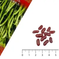 Семена Фасоль &laquo;Сережка&raquo;, вьющаяся, зеленая, 5.0 г серия &laquo;Русский вкус&raquo;, &laquo;Гавриш&raquo;