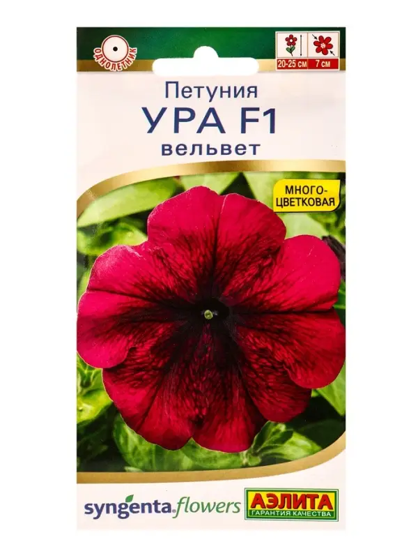 Семена цветов Петуния Ура F1 вельвет (драже в пробирке) Спецсерия Syngenta, Ц/П,7 шт. Семена цветов Петуния Ура F1 вельвет (драже в пробирке) Спецсерия Syngenta, Ц/П,7 шт.