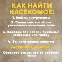 Раскопки &laquo;Тайна жука Скарабея&raquo;