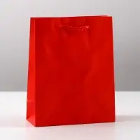 Пакет подарочный ламинированный, упаковка, &laquo;Красный&raquo;, S 12 х 15 х 5.5 см