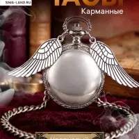 Часы - кулон карманные &laquo;Снитч&raquo;, кварцевые, на цепочке, диаметр циферблата 2.7 см, под гравировку, серебряные