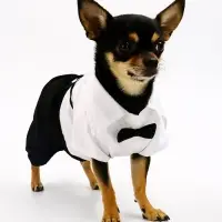 Костюм для животных "Джентельмен", размер S (ДС 25, ОГ 35 см)