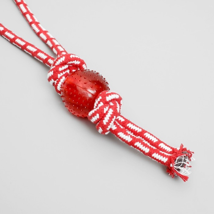 Игрушка канатная Игрушка канатная "Узел с мячиком", до 80 г, микс цветов