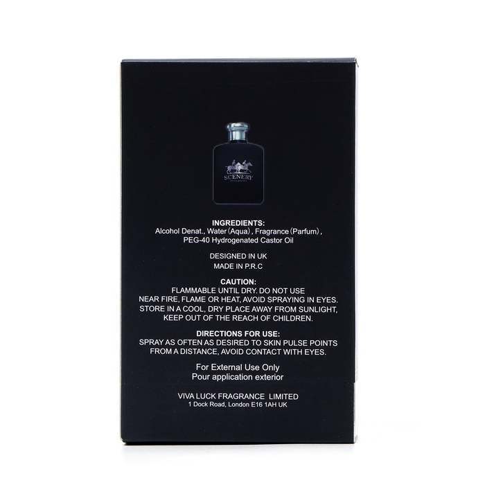 Туалетная вода мужская Scenery, 100 мл Туалетная вода мужская Scenery, 100 мл