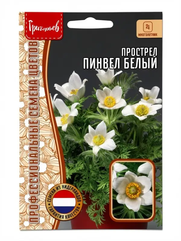 Семена цветов Прострел Pinwheel White 3 шт. 12.29 г