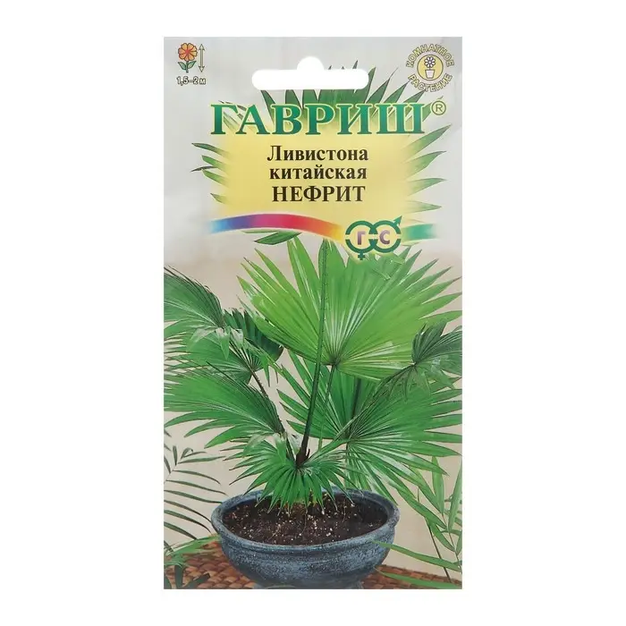 Семена комнатных цветов Ливистона Семена комнатных цветов Ливистона "Нефрит", ц/п, 3 шт.