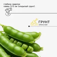Семена Горох овощной &laquo;Детский&raquo; сахарный, раннеспелый, низкорослый, 10 г, &laquo;Евро-семена&raquo;