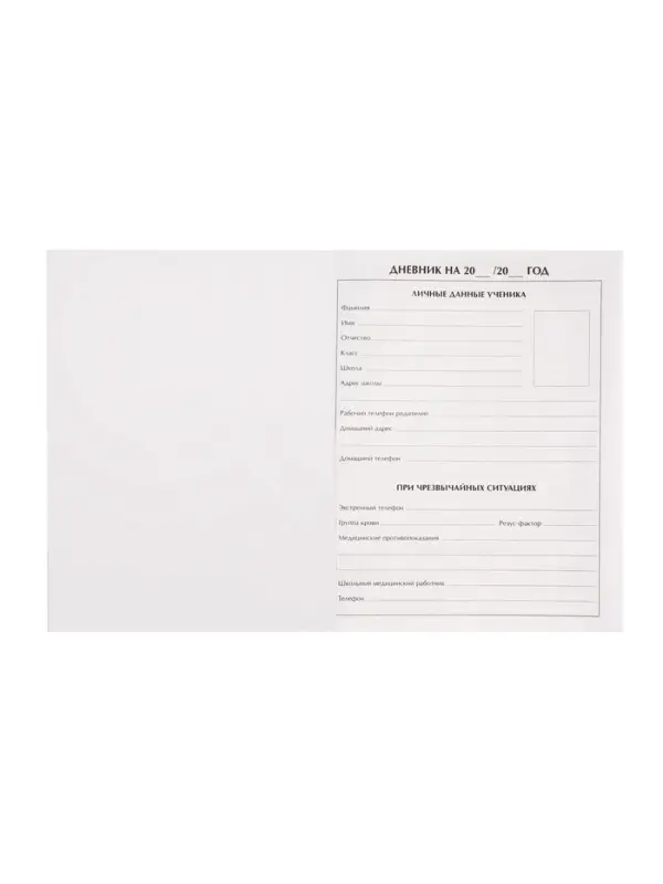 Дневник школьный для 1-11 классов, &laquo;Зелёный мрамор&raquo;, интегральная (гибкая) обложка, глянцевая ламинация, 40 листов