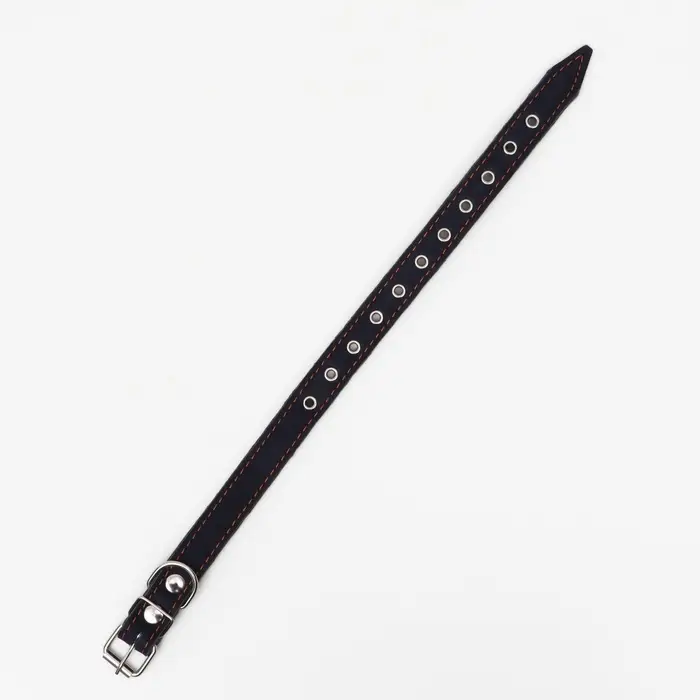 Ошейник комбинированный, безразмерный, 54&times;2.5 см, ОШ 17-45 см, кожа, брезент, синий