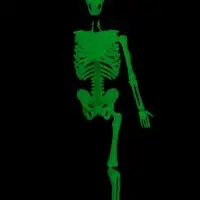 Набор для опытов по анатомии &laquo;Строение тела&raquo;, светится в темноте, с мягкими органами