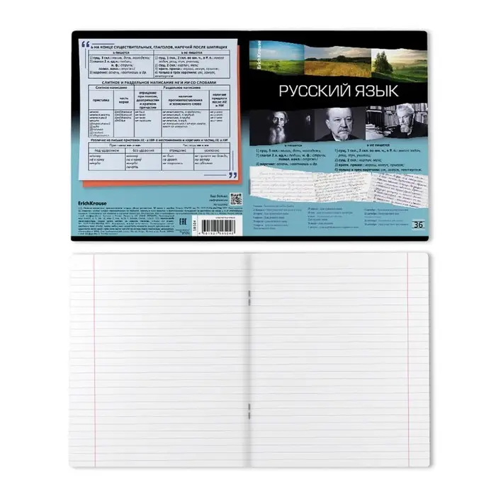 Тетрадь предметная &laquo;Русский язык&raquo;, 36 листов в клетку, ErichKrause Timeline