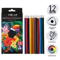Карандаши Calligrata, 12 цветов, трёхгранные, пластиковые