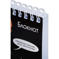 Блокнот А6, 96л, КОЩЕЙ БЕССМЕРТНЫЙ клетка,гребень,УФ-лак/70137