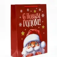 Пакет подарочный «Новогодняя сказка», с ободком, 31 × 11 × 40 см Пакет подарочный «Новогодняя сказка», с ободком, 31 × 11 × 40 см