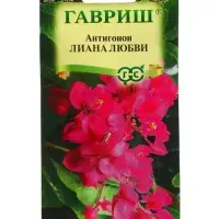 Семена цветов Антигонон &laquo;Лиана любви&raquo;, 5 шт., многолетник, &laquo;Гавриш&raquo;