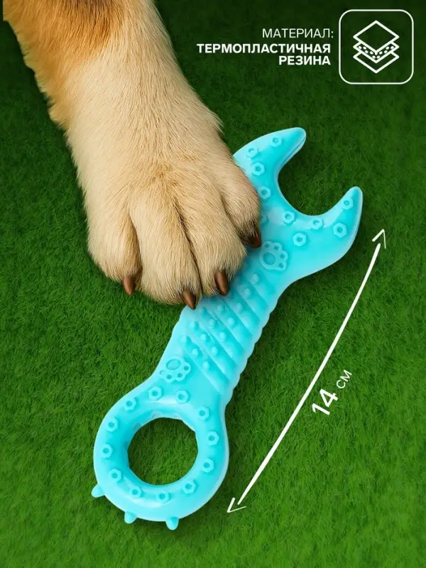Массажная игрушка для собак &laquo;Ключ&raquo; 14 см, TPR, МИКС