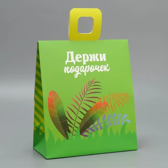 Пакет подарочный с формовым клапаном, упаковка, &laquo;Львенок&raquo;, 23&times;27&times;11.5 см
