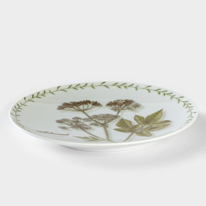 Тарелка фарфоровая «Ботаника. Сныть», d=20 см