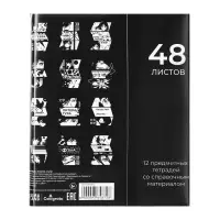 Набор предметных тетрадей Calligrata &laquo;Комикс Аниме&raquo;, 12 предметов, 48 листов, со справочным материалом, обложка из мелованного картона