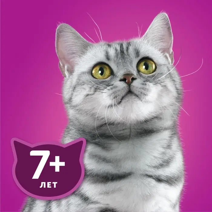 Влажный корм Whiskas для кошек 7+ рагу с курицей, 75 г Влажный корм Whiskas для кошек 7+ рагу с курицей, 75 г