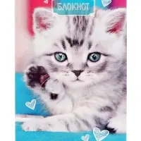 Набор блокнотов А6 24л кл на скобе Котята, мел карт, 4В 20шт