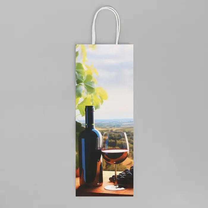 Пакет подарочный под бутылку, упаковка, «Вино», белый крафт, 13 х 36 х 10 см Пакет подарочный под бутылку, упаковка, «Вино», белый крафт, 13 х 36 х 10 см