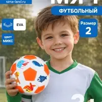 Футбольный мяч, машинная сшивка, 32 панели, р. 2, EVA, МИКС
